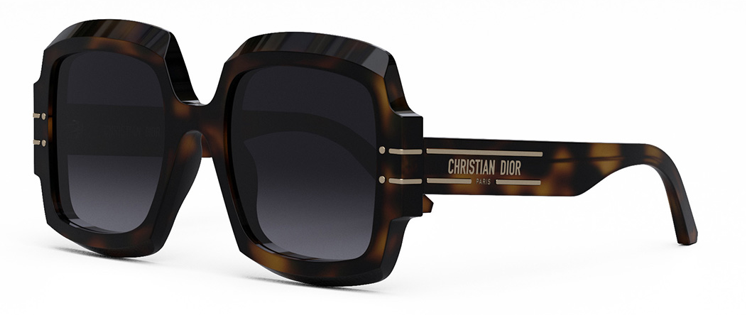 DIOR DIORSIGNATURE S1U