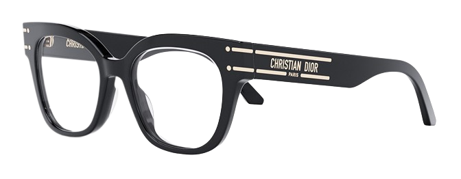 DIOR SIGNATURE O B2I