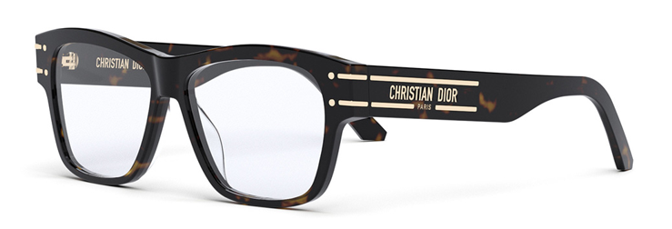 DIOR SIGNATUREO S1I
