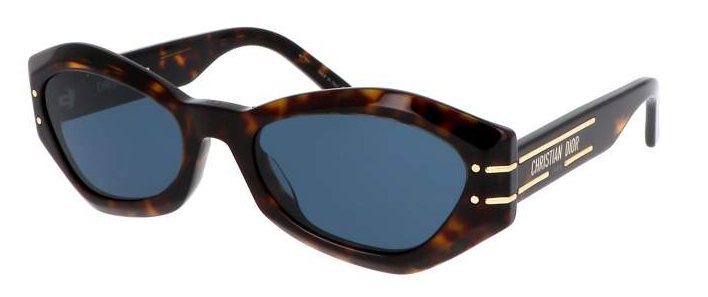 DIOR SIGNATURE B1U